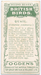 Quail.