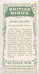 Chiff-chaff.