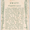 Swift.