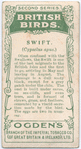 Swift.