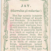 Jay.
