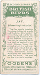 Jay.