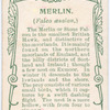 Merlin.