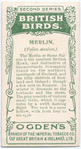 Merlin.