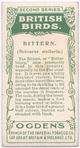 Bittern.