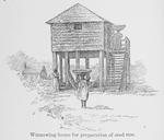 Winnowing house for preparation of seed rice.