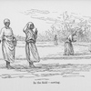 In the field - sowing.