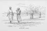 In the field - sowing.