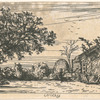 Paysage.