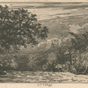 Paysage.
