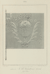 Znamia L.Gv. Semenovskago  polka 1701 goda