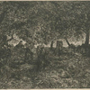 Dessous de forêt (d'après une étude de Théod. Rousseau).