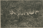 Dessous de forêt (d'après une étude de Théod. Rousseau).