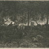 Dessous de forêt (d'après une étude de Théod. Rousseau)