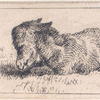 Ânon.