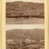 Nazhivka peshchanki (dlia lovli treski) [above]; Sushka treski [below].