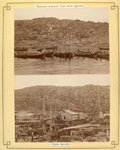 Nazhivka peshchanki (dlia lovli treski) [above]; Sushka treski [below].