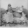 A happy old mammy; She has just been paid for her week's picking, more than enough for her simple wants; [Courtesy of the Philadelphia Museums.]