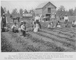 A profit of $2,723.61 on fifteen acres of strawberries; The strawberry field of an ex-slave who makes more money than the Governor of his State recieves as a salary.