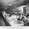 Negro girls and women employed in a lamp-shade factory