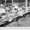 Negro women employed on power machines in a large apron factory