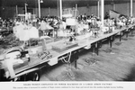 Negro women employed on power machines in a large apron factory