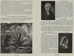 The Story of Ringwood Manor