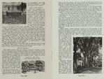 The Story of Ringwood Manor