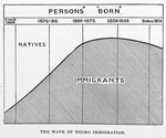 The wave of Negro immigration