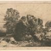 Paysage. Saules.