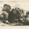 Paysage. Saules.