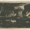 Paysage.