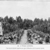 A prize garden.