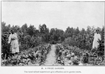 A prize garden.