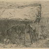 Cheval sous un hangar.