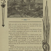 George A. Custer.