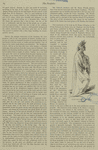 Dante [Folder I].