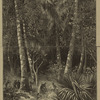 The Darien expedition, cutting through the forest.