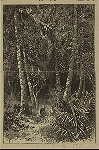 The Darien expedition, cutting through the forest.