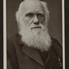 Charles Darwin.