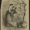 Jefferson Davis - Caricatures III.