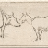 Animaux.