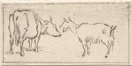Animaux.