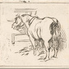 Chevaux.