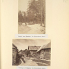 Woods near Ryadovo. St. Petersburg Govt. (no. 27); Village of Ryadovo. St. Petersburg Govt. (no. 166).