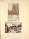 Woods near Ryadovo. St. Petersburg Govt. (no. 27); Village of Ryadovo. St. Petersburg Govt. (no. 166).