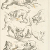Studies of dogs.