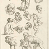 Studies of monkeys.