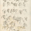 Studies of dogs and horses.