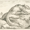 Fox (?)